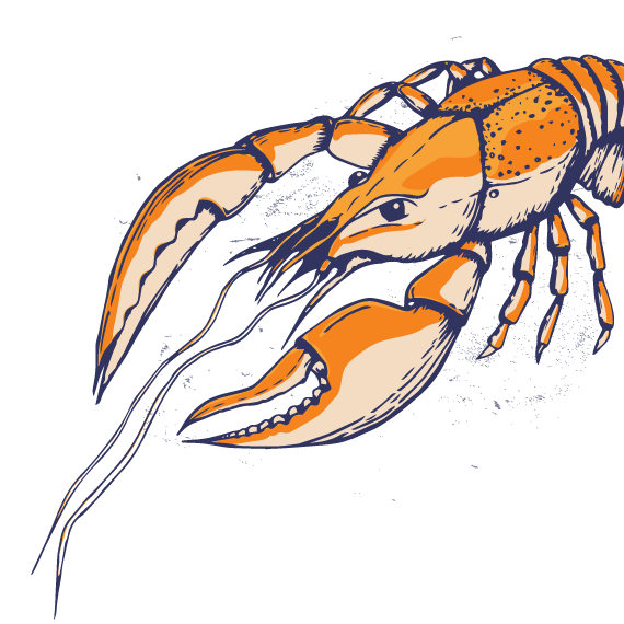 Come Out of Your Shell! Come Out of Your Shell!