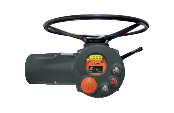 <span style="color:#00488e;">‘Sophisticated, Programmable, & Customized’</span>