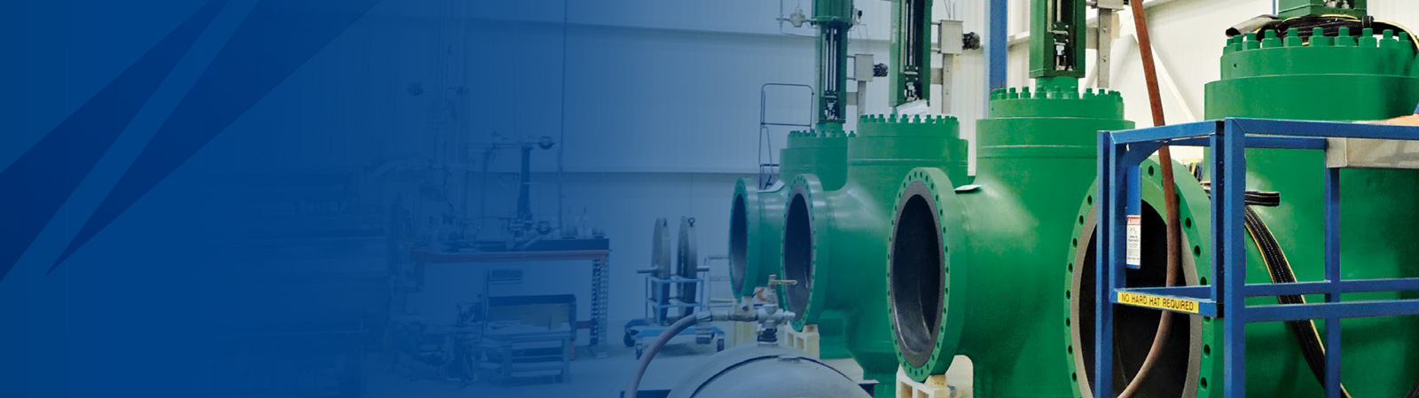 Fisher™ Optimized<br>Digital Control Valves (ODV)