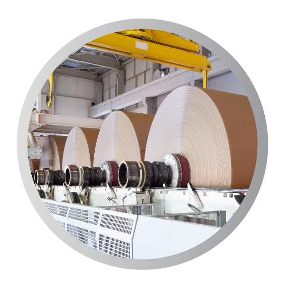 AMS Asset Monitor Greatly Mitigates This Plant’s Risk