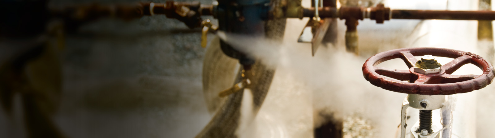 Unlock the Potential of Your Steam System